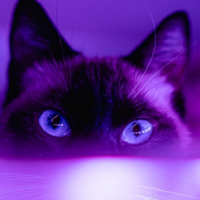 Kalle_Puling's profile picture. 