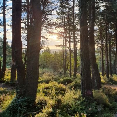 Friendly Scottish Male. Enjoy an outdoor active lifestyle. Naturist/Nudist. Body positivity. DM's open. Had to lock account due to bot followers.