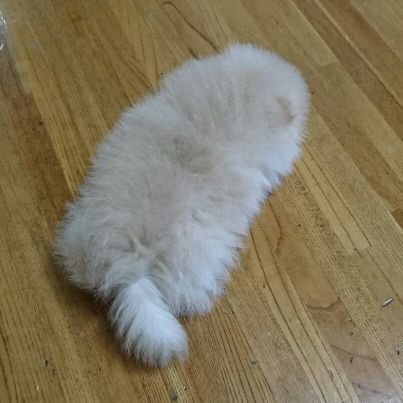 vioさんのプロフィール画像