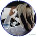 💙 آلَجَـزَلَ (@mnu000) Twitter profile photo 💙 آلَجَـزَلَ (@mnu000) Twitter profile photo