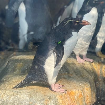 dy_66g's profile picture. 懸賞垢/実績報告します