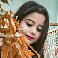 Sivani Singh (@sivam47758300) 's Twitter Profile