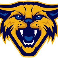 Sunray Baseball (@sunraybaseball) 's Twitter Profile