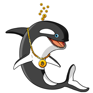 🐋! Only, the Real Cryptowhales with NFTs of high value💸💸, can buy our rarest categories NFTs 🐳https://t.co/HhCwZUtHda
