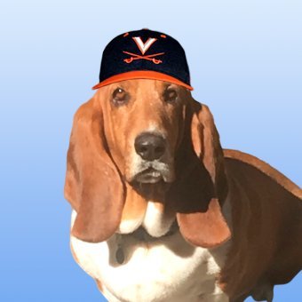 All in for the Hoos. Unapologetic homer. Positive vibes only.