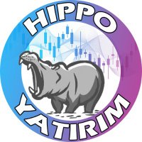 Hippo_Yatırım (Burak)(@hippo_yat) 's Twitter Profile Photo