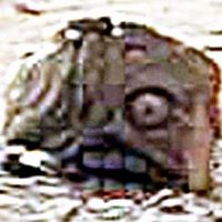 Ex-Rifleman (@sofdmc) 's Twitter Profile Photo