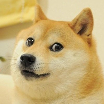 doge_imx's profile picture. anyone can own a piece of one of the most recognized and loved images of our generation. It looks rare https://t.co/d5V1XUq8Fy