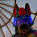 🔞 USDA CERTIFIED SEX MACHINE 🔞 🔜 Furrydelphia (@foxpawsad1) Twitter profile photo 🔞 USDA CERTIFIED SEX MACHINE 🔞 🔜 Furrydelphia (@foxpawsad1) Twitter profile photo