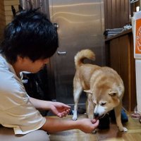MiZ (@verde0228) 's Twitter Profile