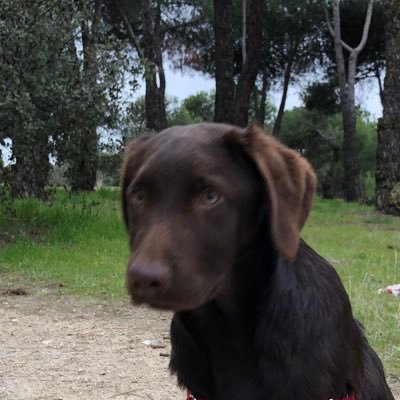 rantoncf's profile picture. jusst for fun