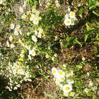 memet537 fatma (@memet537) 's Twitter Profile