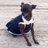 Lola_aguiar's profile image