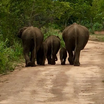 Loveroftruth37's profile picture. 