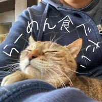 点燈 (@t_manyuuki) 's Twitter Profile Photo