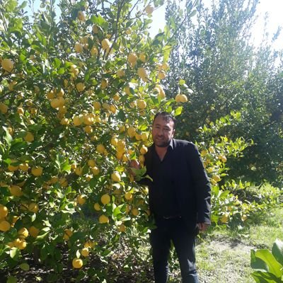 sait3232001's profile picture. Cem