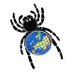 European Society Of Arachnology (@ESArachnology) Twitter profile photo