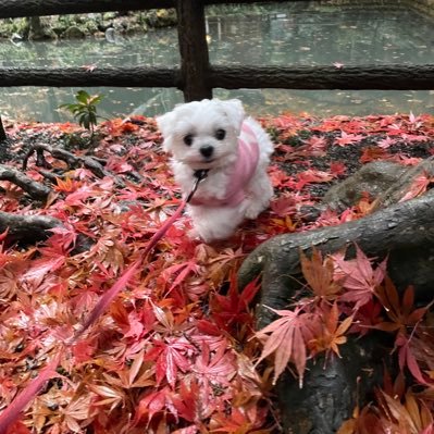 石川県頑張ろう！