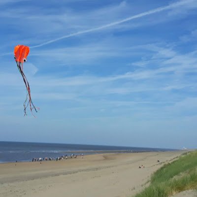 MarcoVanVliet4's profile picture. 