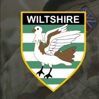 Mandy CFAV (@mandycfav_wilts) 's Twitter Profile