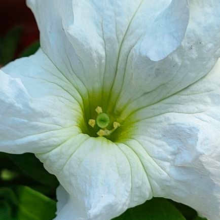 Wamwadime's profile picture. 