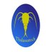 Thalassatech (@thalassatech) Twitter profile photo Thalassatech (@thalassatech) Twitter profile photo