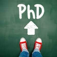 Doing a PhD. Focus on weight stigma.