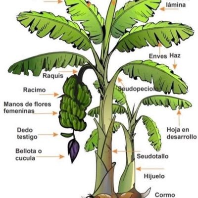 LuisNuques1's profile picture. Libre pensador