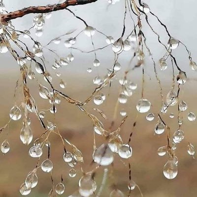 AyedAssiri's profile picture. قاعدتي في الحياة (عُمْرالتواضع مادفن قيمة إنسان وعمر التكبرماعطى عُمر ثانٍ)