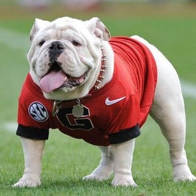 UGA Alum