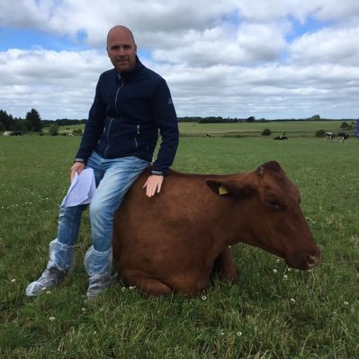 K&L fokkerij-adviseur Procross en Viking Jersey, regio Zuid-Holland, Utrecht en Flevoland