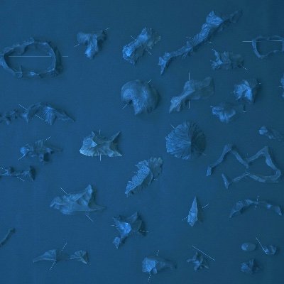 Archipelagic MA in Art and Environment delivered in the West Cork Islands.