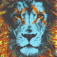 dkdude.eth (@racekreme) 's Twitter Profile Photo