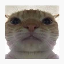 6eyex's profile picture. 