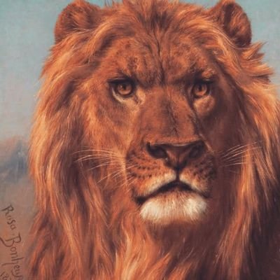 deleonazkarate's profile picture. 