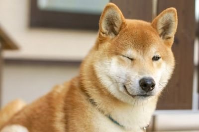 qhK1Muv2RJuMbNz's profile picture. 