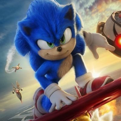 Ty The Hedgehog Ribs Loves The #SonicMovie2さんのプロフィール画像