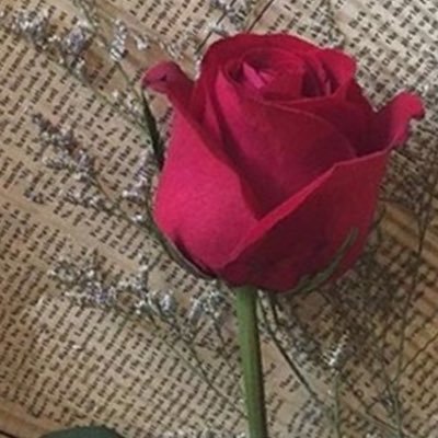 amany45417700's profile picture. “مصرية وافتخر”🇪🇬✌🏻 “الام كالعمر لاتتكرر مرتين”❤️ا