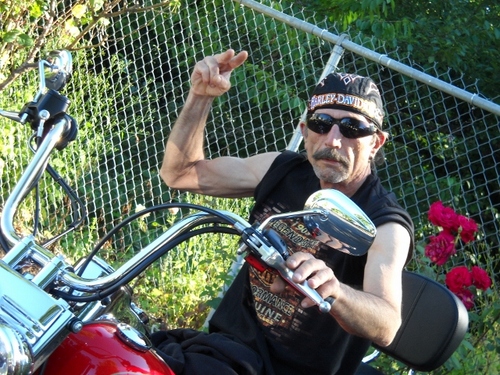 Just got a new Harley I will tweet my adventures if you care to follow, then get on the bike bitches!