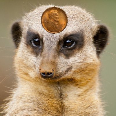 MONGOOS30335997's profile picture. $MONGOOSE
A new global reserve currency.
The most entertaining outcome is the most likely.