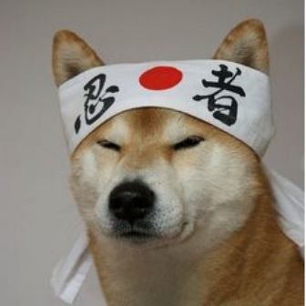 SumitMaiti12's profile picture. Do I really have to put something in bio?