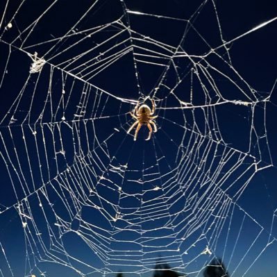 paliava635's profile picture. 