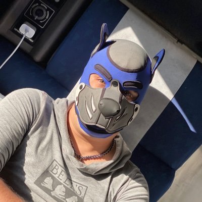 I'm Pup Nautilus. Let me ruin your hole then cuddle you. No PnP. Boyfriend: @trekkrff. Handler of @pupkibbles @puppyboyfinch and @pup_daxx. Talk nerdy to me.