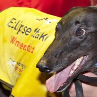 Kevin Hutton (@kevhuttonracing) 's Twitter Profile Photo Kevin Hutton (@kevhuttonracing) 's Twitter Profile Photo