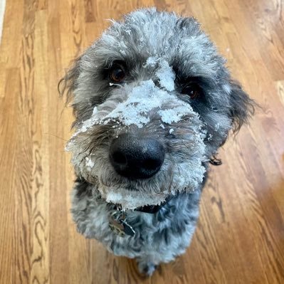 SLSever's profile picture. 