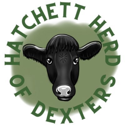 Hatchett Dexters