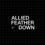 ALLIED Feather + Down(@allieddown) 's Twitter Profile Photo