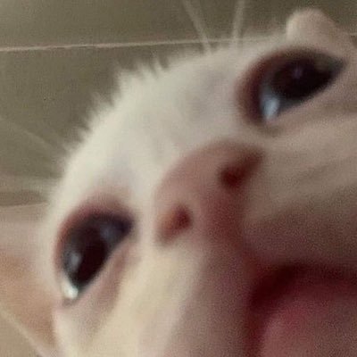 Roshanxy's profile picture. I am zero, anti-hero RIP JEREMY RILEY⠀ ⠀ ⠀ ⠀ ⠀ ⠀