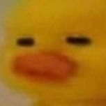 oooooridhfl's profile picture. 2n / 1억 모으기 / 영어공부 / 운동