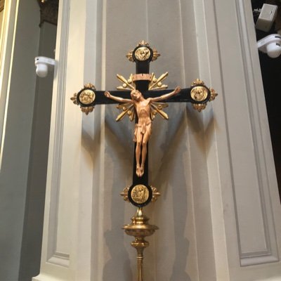 iluvdoggiechow's profile picture. https://t.co/tRtFYIzyhE